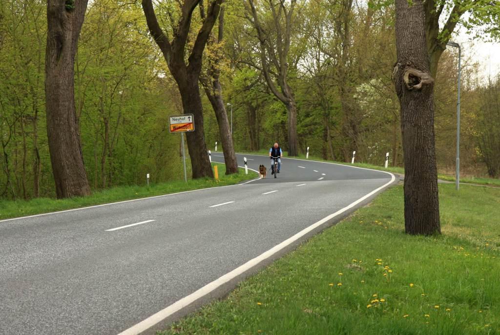 tl_files/music_academy/Aktuelles/Neuhof-NeuWuensdorf-fehlender Radweg-2014-c.jpg